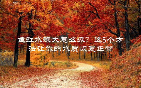 鱼缸水碱大怎么办？这5个方法让你的水质恢复正常