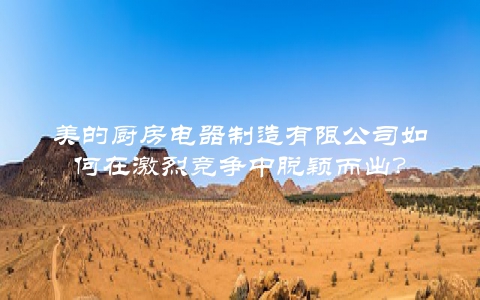 美的厨房电器制造有限公司如何在激烈竞争中脱颖而出？