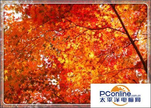 win7笔记本摄像头怎么开启