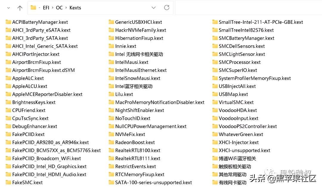 「黑果魏叔」Monterey12.2Beta1 OpenCore/Clover/ winPE黑苹果镜像
