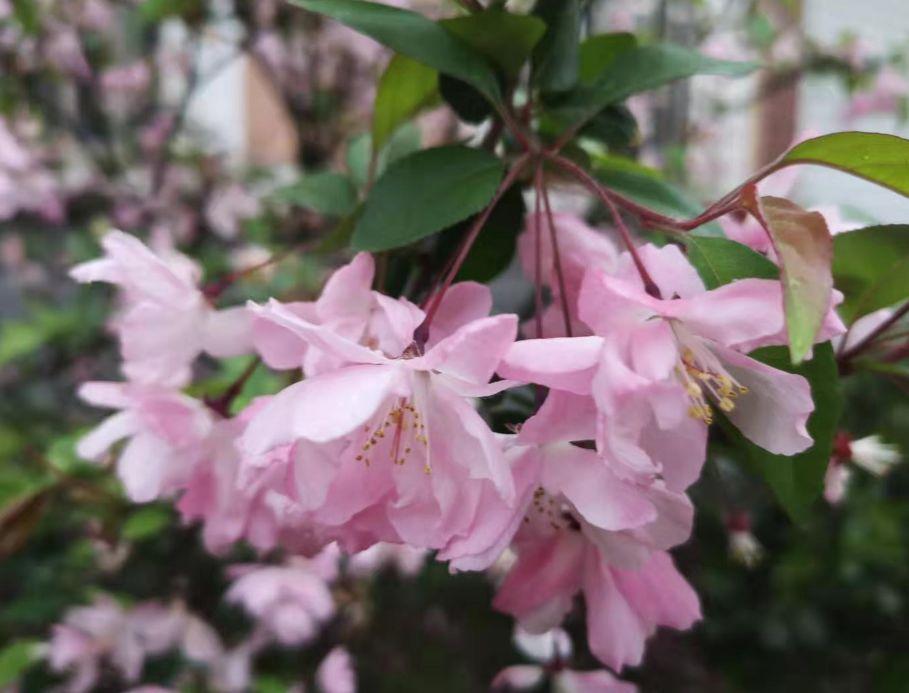 PS教程:简单五步,轻松让模糊的照片变清晰