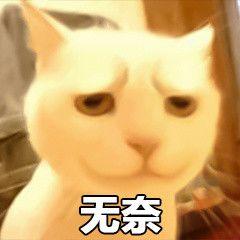 手机能有多贵，当年这手机能买一套房
