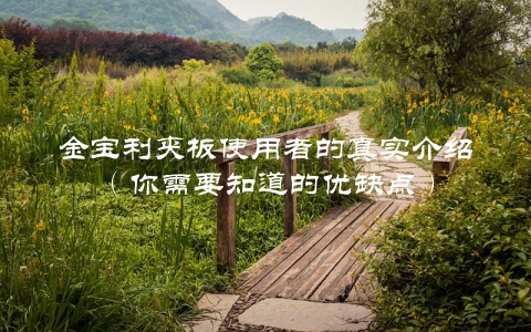 金宝利夹板使用者的真实介绍（你需要知道的优缺点）