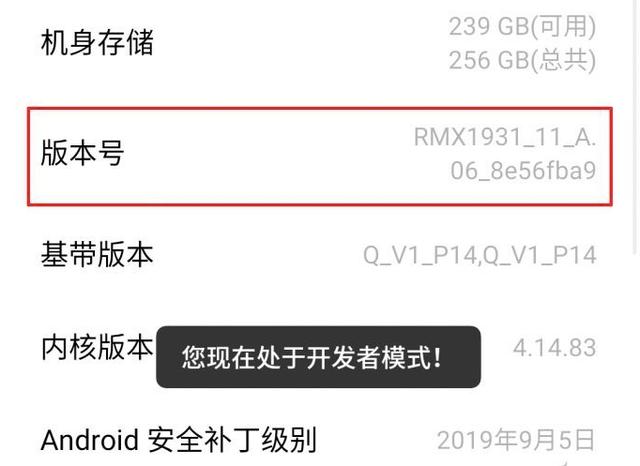 怎么进入开发者模式（小米手机怎么打开开发者选项）