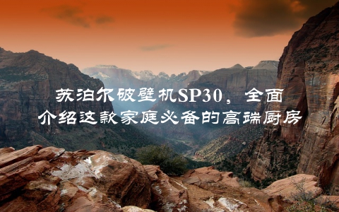 苏泊尔破壁机SP30，全面介绍这款家庭必备的高端厨房电器