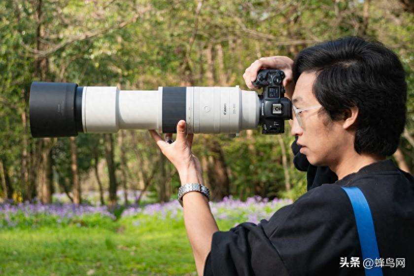更长焦距，更轻量化 佳能RF200-800mm F6.3-9 IS USM使用体验
