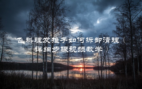 飞科理发推子如何拆卸清理（详细步骤视频教学）