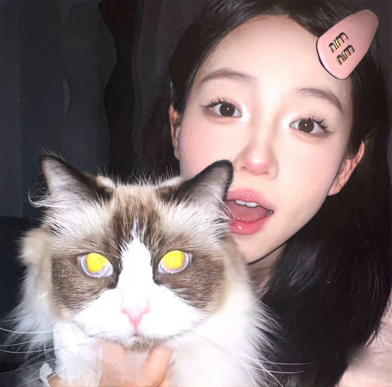 AutoCAD Mechanical 2024最新机械版软件下载 计算机辅助设计软件