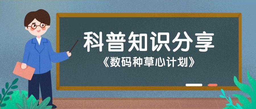数码种草心计划:音箱十大品牌