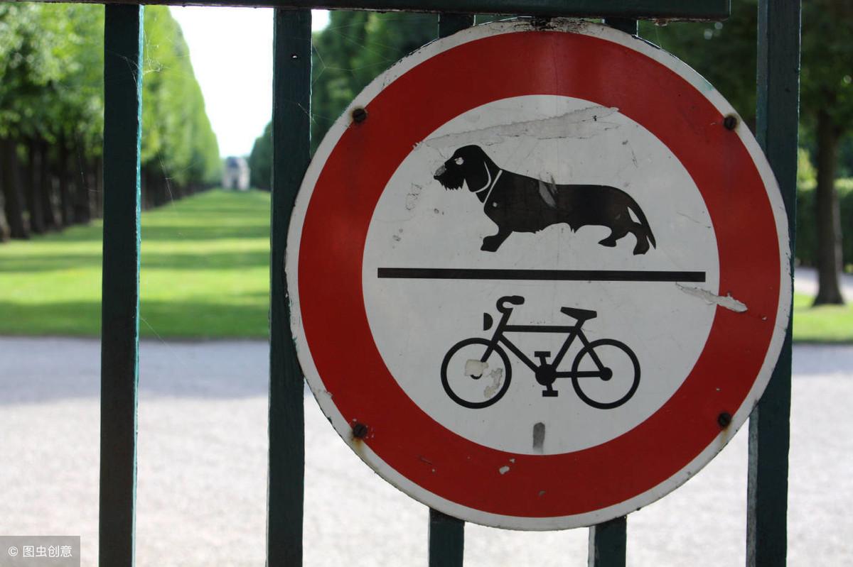 20秒记一个单词(第476个)illegal