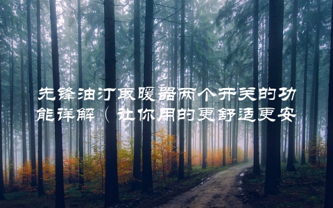 先锋油汀取暖器两个开关的功能详解（让你用的更舒适更安全）