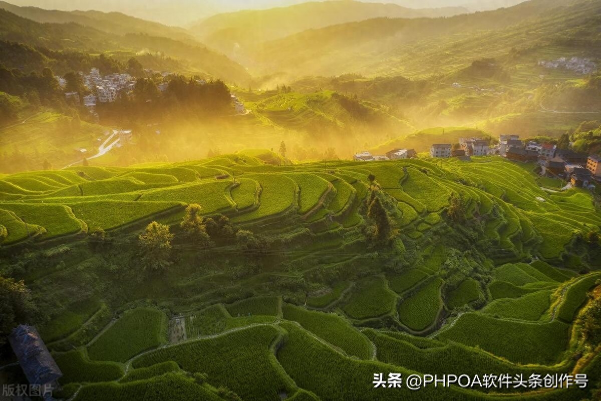 协同办公管理软件OA：提升工作效率的利器