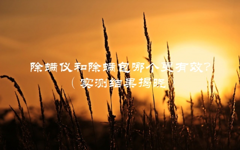 除螨仪和除螨包哪个更有效？（实测结果揭晓）