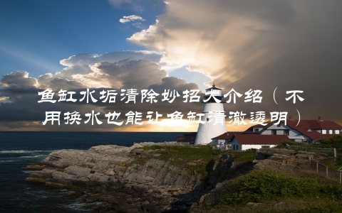 鱼缸水垢清除妙招大介绍（不用换水也能让鱼缸清澈透明）