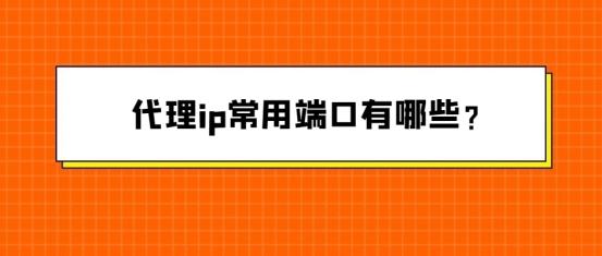 代理ip常用端口有哪些？
