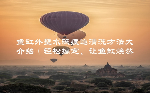 鱼缸外壁水碱痕迹清洗方法大介绍（轻松搞定，让鱼缸焕然一新）