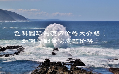 飞科圆球剃须刀价格大介绍（如何买到最实惠的价格）