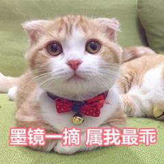 word快捷键大全常用有哪些（word常用快捷键）