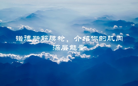 诺德斯筋膜枪，介绍你的肌肉深层能量