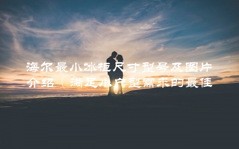 海尔最小冰柜尺寸型号及图片介绍（满足小户型需求的最佳选择）