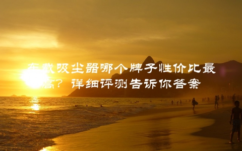 车载吸尘器哪个牌子性价比最高？详细评测告诉你答案