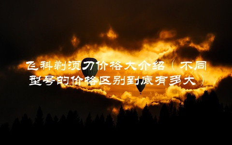 飞科剃须刀价格大介绍（不同型号的价格区别到底有多大）