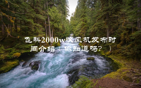 飞科2000w吹风机发布时间介绍（你知道吗？）
