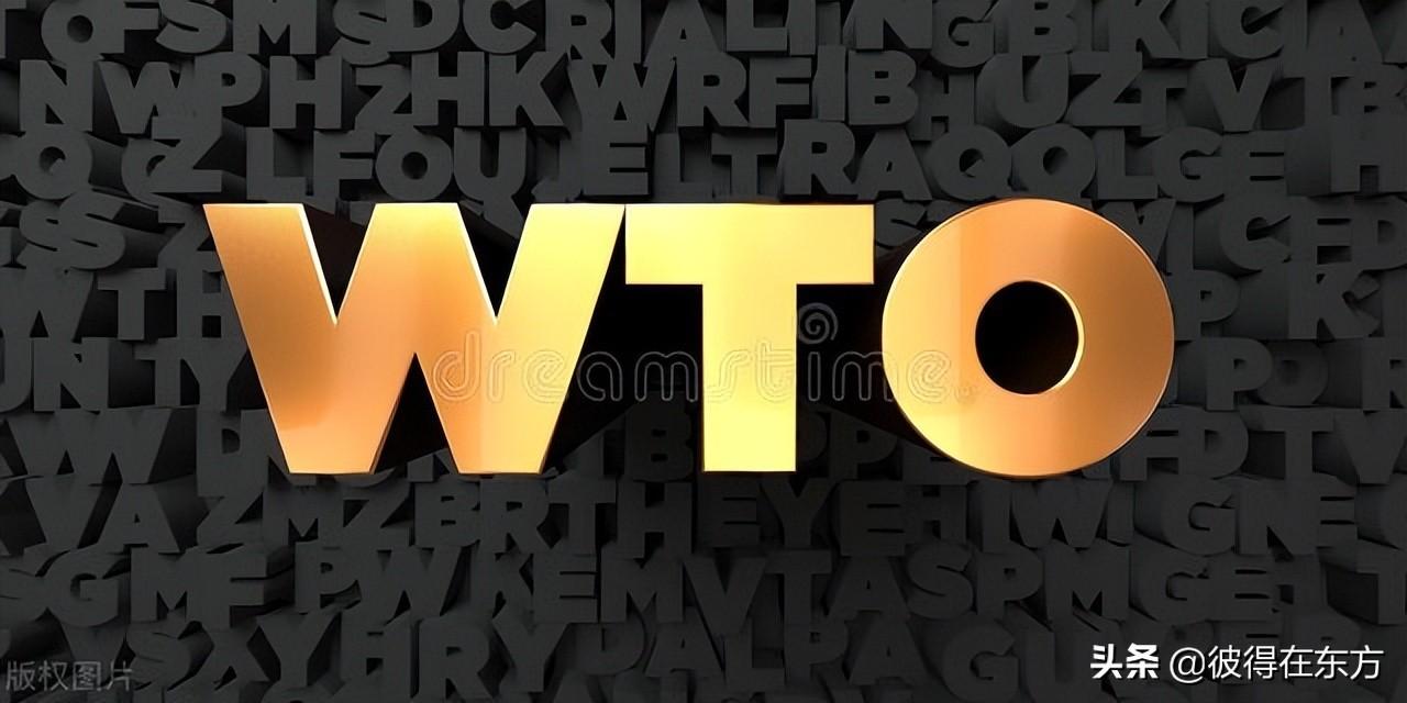 协会/社团在英语中怎么表达?association/society还是initiative