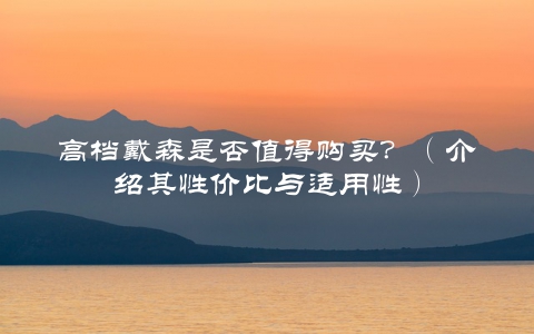 高档戴森是否值得购买？（介绍其性价比与适用性）