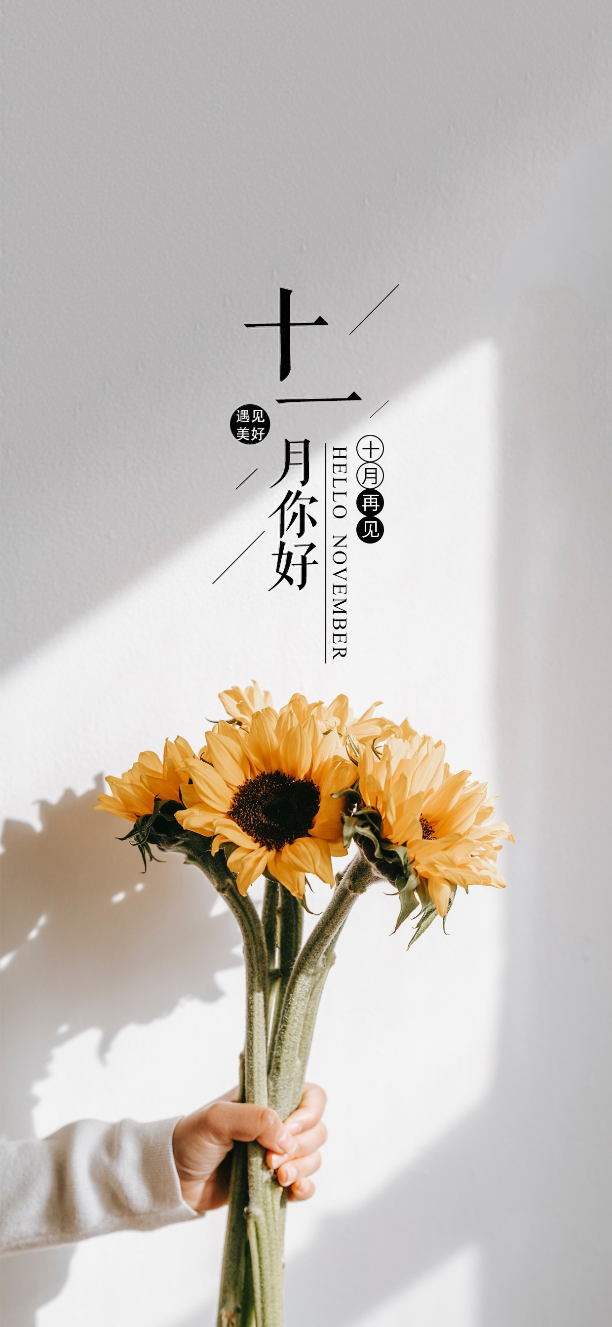 壁纸 | 十一月你好,愿2021最后两个月,事事利利