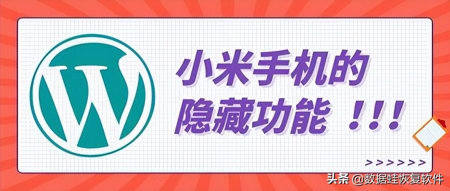 小米手机开发者选项在哪（小米盒子开发者选项在哪）