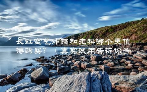 长虹空气炸锅和先科哪个更值得购买？（真实试用告诉你答案）