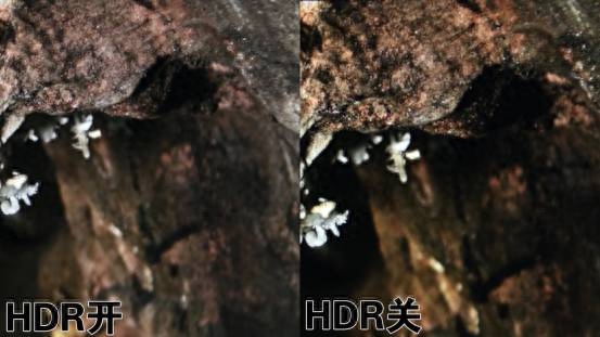 双十一选HDR显示器,就该这么买