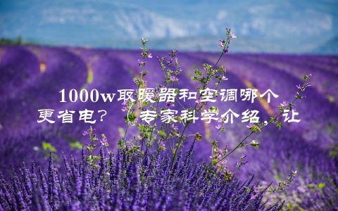1000w取暖器和空调哪个更省电？（专家科学介绍，让你省下不少电费）