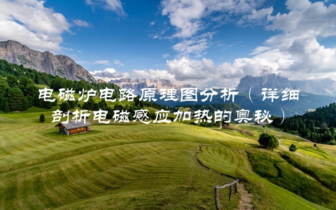电磁炉电路原理图分析（详细剖析电磁感应加热的奥秘）