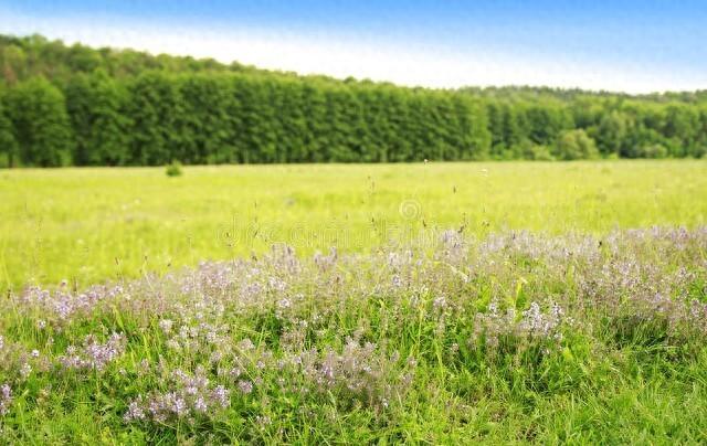 高考重要考点:suppose