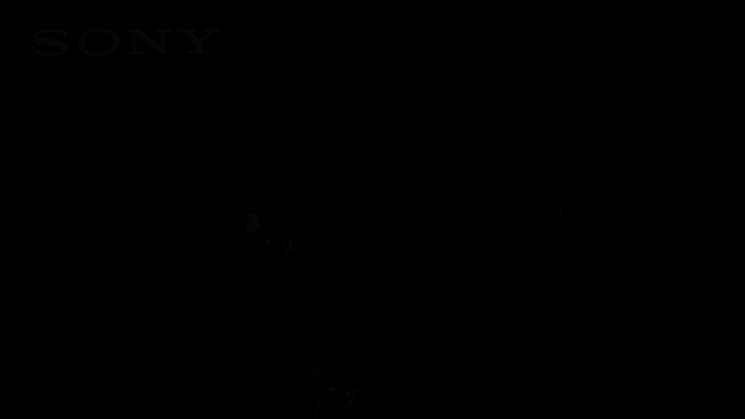 索尼Alpha 7R V发了个寂寞?性能全面测评