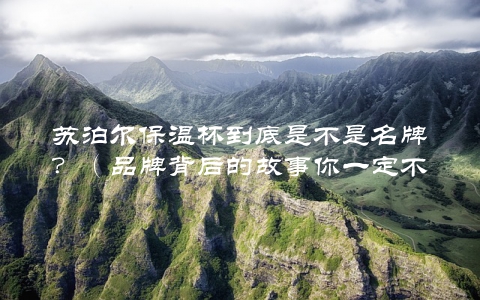 苏泊尔保温杯到底是不是名牌？（品牌背后的故事你一定不知道）