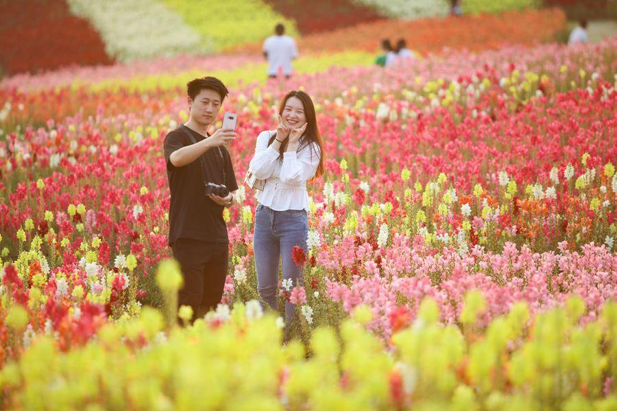 “My photo”竟然不是“我自己的照片”，别再说错了