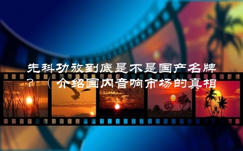 先科功放到底是不是国产名牌？（介绍国内音响市场的真相）