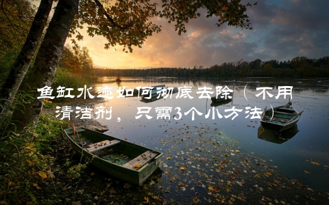 鱼缸水迹如何彻底去除（不用清洁剂，只需3个小方法）