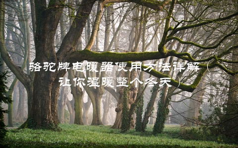 骆驼牌电暖器使用方法详解（让你温暖整个冬天）
