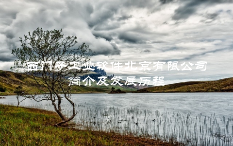西门子工业软件北京有限公司简介及发展历程