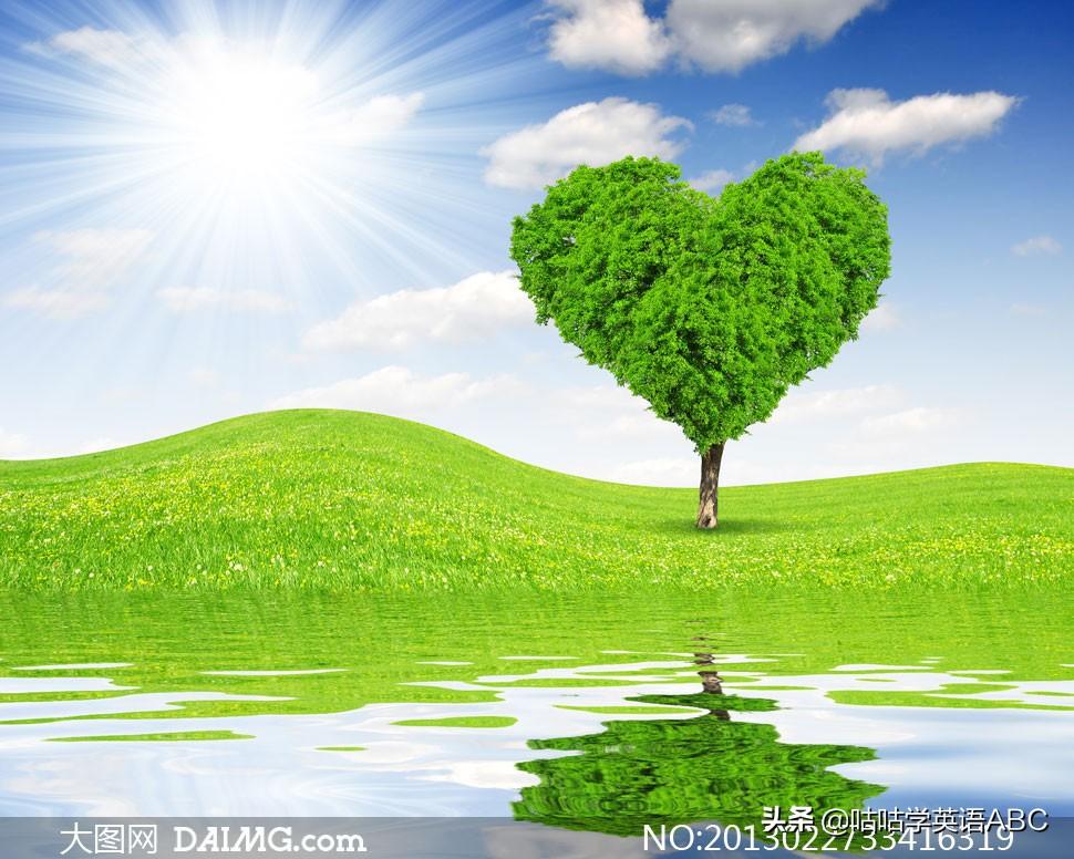 extensive和intensive仅两字母之差