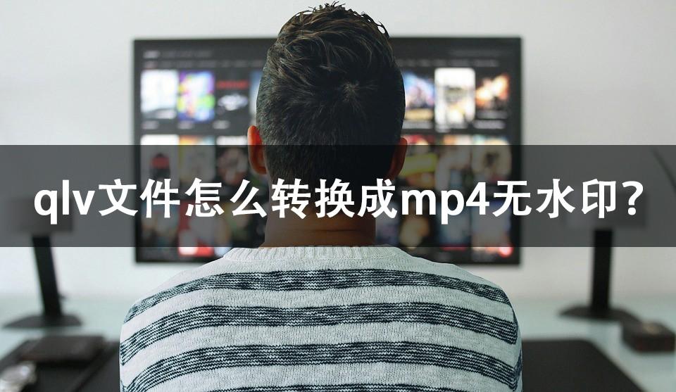 qlv文件怎么转换成mp4无水印？高效率工具请查收