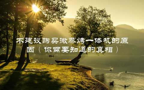 不建议购买微蒸烤一体机的原因（你需要知道的真相）