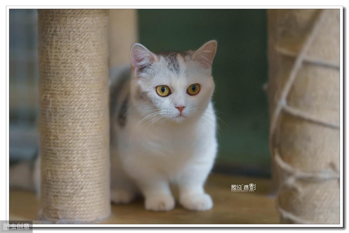 15秒记一个单词(第642个)curious