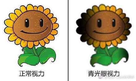 头疼、恶心、呕吐，也许是青光眼惹的祸