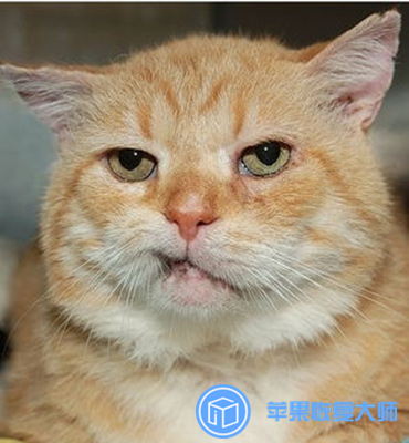 删除QQ好友后悔了?找回好友方法大全看这里!