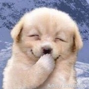 找航母,打飞机!中国连发七颗“高分”卫星,让美航母无所遁形